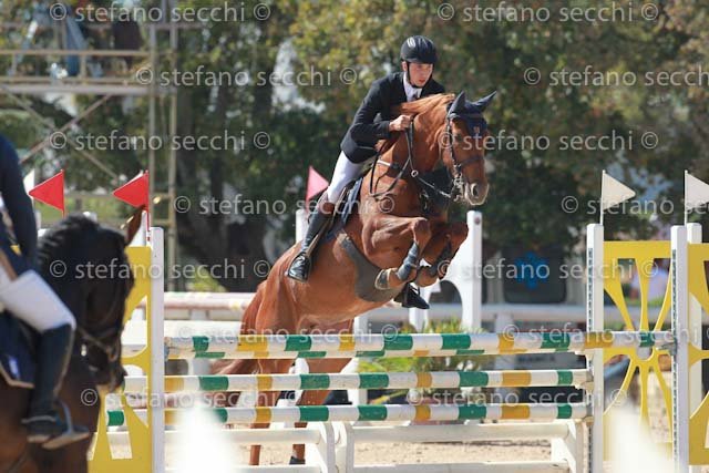 MATTEUCCI_IPPIA_GIO CAV 2011_SS3_7036.jpg